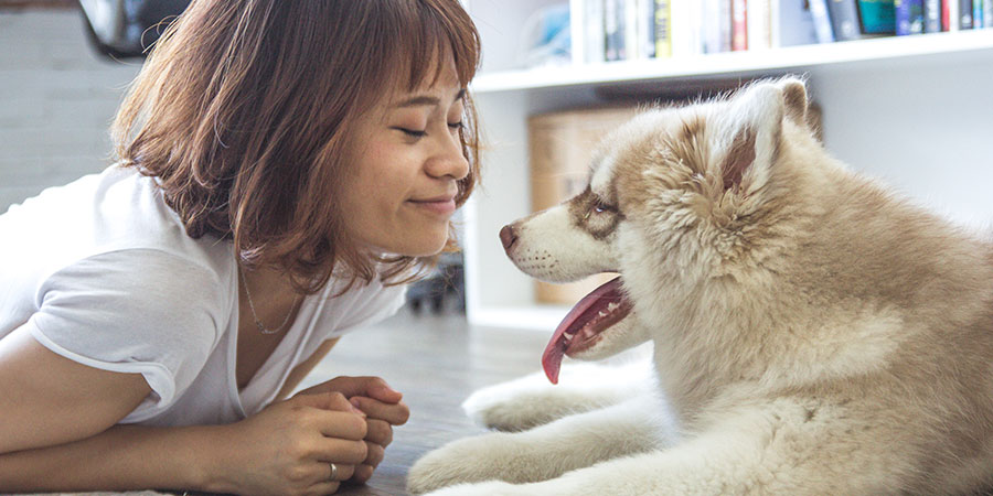 How the Bond between Humans & Pets Helps Their Graduation From 2nd to 3rd Density Vibration